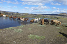 Iceland-East and South-Mountain Spirit Ride - Landmannalaugar